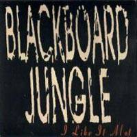 BlackBoard Jungle : I Like It Alot